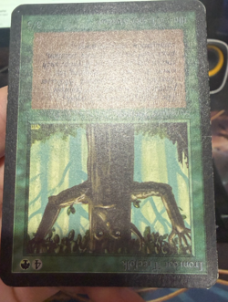 MTG Ironroot Treefolk Alpha Magic the Gathering - Image 2