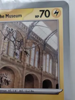 Pokemon TCG Promo Oversized Card - Pikachu at the Museum (Sealed) - UK - Image 3