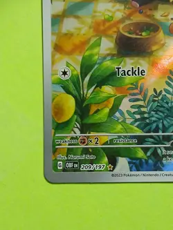 Pokemon Scarlet & Violet Obsidian Flames Lechonk 209/197 Illustration Rare - Image 5