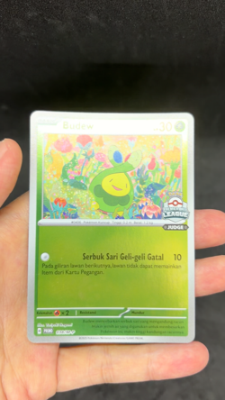 RARE Pokemon TCG INDONESIA Budew 038/M-P Premiere Ball League JUDGE Stamp 2025 A - Image 2