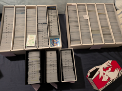 RESERVED Pokemon Bulk Lot 11,000+ C,U,Holos,Rev Holos,Trainers - Image 1