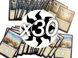 Magic the Gathering MTG x30 Plains Lot - Bloomburrow - Image 1
