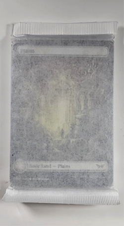 2024 MTG Magic The Gathering DSK Duskmourn 20 Foil Full Art Land Pack - Image 1