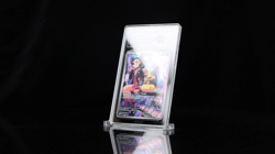 2025 POKEMON SVP EN-SV BLACK STAR PROMO #206 MARNIE'S MORPEKO TAG 10 TOP 8 RANK - Image 2