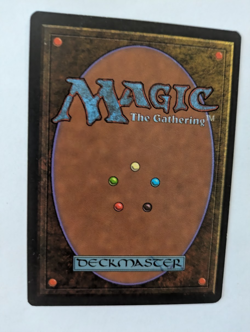 English Kjeldoran Outpost Alliances MTG NM Free shipping with tracking - Image 2