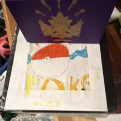 Pokemon TCG Collectible Mixed Card Lot - Binder & Custom Artwork Box - Image 1