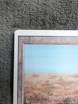 Scrubland Revised Edition Regular - Image 2