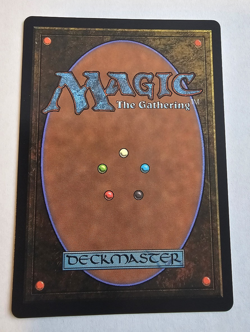 Vibrance #249 | Magic Lorwyn Eclipsed Foil Mythic🔥 - Image 2