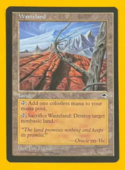 MTG WASTELAND Tempest (OldManMTG 012-775) - Image 1