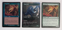 MTG – Innistrad Remastered – Young Wolf x 3 - Standard, Borderless & Retro Foil - Image 1