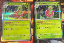 Pokemon TCG Meganium 010/132 Me01: Mega Evolution Holo NM (2) - Image 1