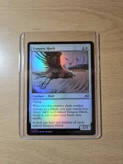 Tempest Hawk Foil Common, Tarkir: Dragonstorm #031, MTG Magic The Gathering - Image 1