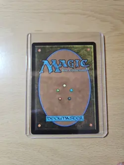 Tempest Hawk Foil Common, Tarkir: Dragonstorm #031, MTG Magic The Gathering - Image 3