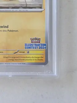 2025 POKEMON SVP EN-SV BLACK STAR PROMO ILLUSTRATION CONTEST 2024 PIKACHU PSA 10 - Image 5