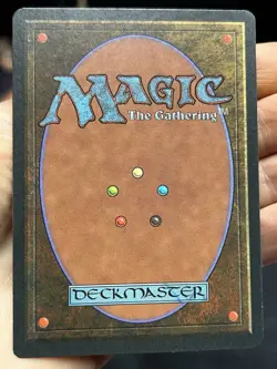 German FBB • Misprint Wald "Forest Plains" • NM / Never Played • Mtg (2040) - Image 4