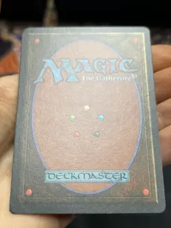 German FBB • Misprint Wald "Forest Plains" • NM / Never Played • Mtg (2040) - Image 5