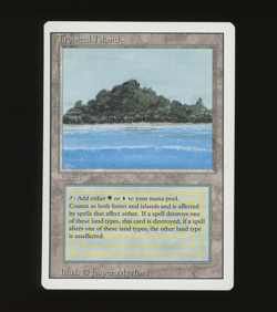 Tropical Island - MTG Revised Edition - RareCo - Image 1