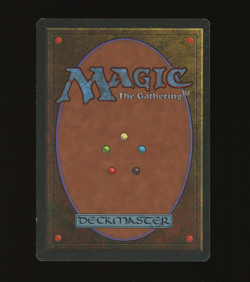 Tropical Island - MTG Revised Edition - RareCo - Image 2