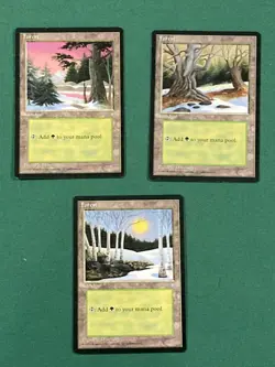 Forest, 3x Mix Art, Ice Age, Magic the Gathering MTG - Image 1