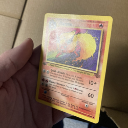 Pokemon TCG Flareon 1st Edition Jungle non holo Rare Regular 19/64 Damaged - Image 3