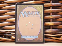 MTG Season of the Burrow 0282 MYTHIC BORDERLESS | NM Near Mint | BLB | 2024 - Image 2