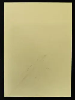 Japanese Nidoking 020 Bandai Vintage Sticker Pokemon Trading Card Game 2004 LP - Image 2