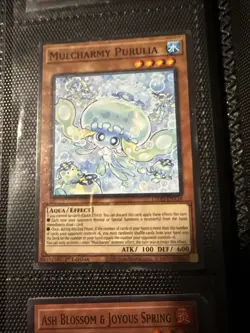 1X NM Mulcharmy Purulia - L5DD-ENY18 - Common 1st Edition - Image 1