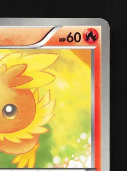 Torchic 010/069 Dark Rush NM 1st ED Japanese Pokemon Card TCG - Image 5