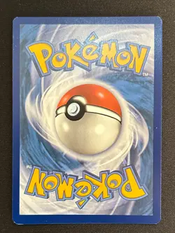 Horsea 067/064 Illustration Rare IR Card NEAR MINT - Pokemon TCG Shrouded Fable - Image 2