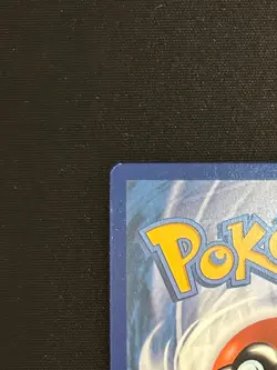 Horsea 067/064 Illustration Rare IR Card NEAR MINT - Pokemon TCG Shrouded Fable - Image 3