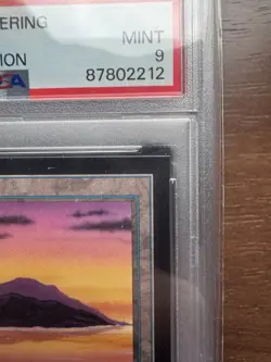 Magic: the Gathering Island 1993 MtG CE PSA 9 WOTC - Image 3