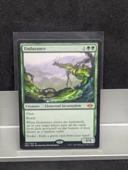 Endurance X1 LP Modern Horizons 2 MTG - Image 1