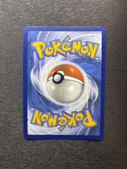 Braviary 214/191 Sv08: Surging Sparks Holo NM Illustration Rare Pokemon - Image 2