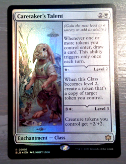 Caretaker's Talent (Foil) - Bloomburrow (BLB) - EN - R 006 - Image 1