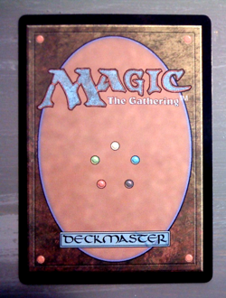 Caretaker's Talent (Foil) - Bloomburrow (BLB) - EN - R 006 - Image 2