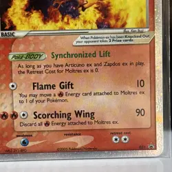 Moltres ex #031, Black Star Nintendo Promo, Holo Rare Pokemon Card, 2005 - Image 3