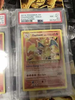 Pokemon Xy evolutions Charizard Psa 8.5 Charmeleon/Charmander Reverse PSA 10 - Image 4