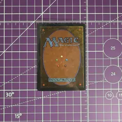 Merieke Ri Berit (297) Ice Age ICE MTG Magic - Image 4