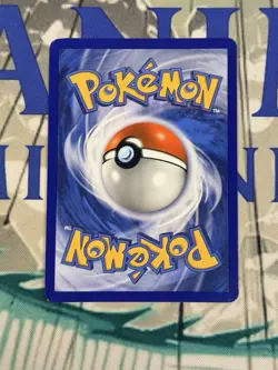 Pokemon 3 Pokemon TCG Trading Cards Collection 636996769661 - Image 2