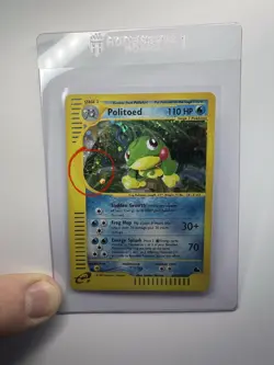Pokemon TCG 2003 Skyridge Politoed (H23) Holo NM 💫SWIRL💫 - Image 1