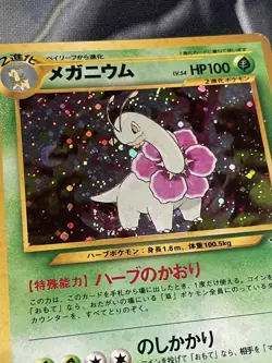 Pokemon Card Meganium No.154 Holo Neo Premium File Japanese - Image 2