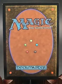 Plains (0888) (Rainbow Foil) Secret Lair: Prints Charming MTG Foil Near Mint - Image 2