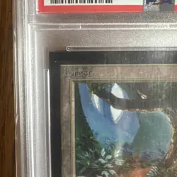 1993 MtG ✨FOREST Lands✨ Magic: the Gathering CE PSA 9 - Image 2