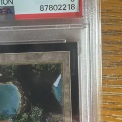 1993 MtG ✨FOREST Lands✨ Magic: the Gathering CE PSA 9 - Image 3