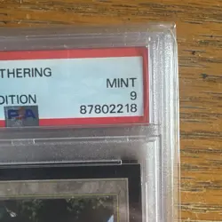 1993 MtG ✨FOREST Lands✨ Magic: the Gathering CE PSA 9 - Image 4