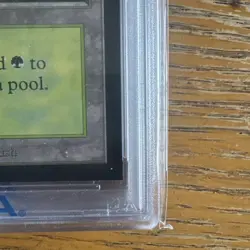 1993 MtG ✨FOREST Lands✨ Magic: the Gathering CE PSA 9 - Image 5