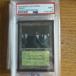 1993 MtG ✨FOREST Lands✨ Magic: the Gathering CE PSA 9 - Image 1
