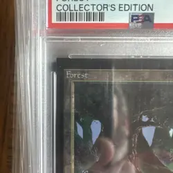 1993 MtG ✨FOREST Lands✨ Magic: the Gathering CE PSA 9 - Image 2