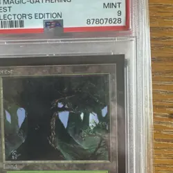 1993 MtG ✨FOREST Lands✨ Magic: the Gathering CE PSA 9 - Image 3