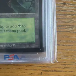 1993 MtG ✨FOREST Lands✨ Magic: the Gathering CE PSA 9 - Image 4